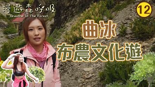 台灣旅遊 : 曲冰布農文化遊 | 漫遊森呼吸 #12 | 梁凱晴 | 粵語中字 | TVB 2020