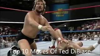 Top 10 Moves Of Ted DiBiase