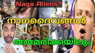 നാഗദൈവങ്ങൾ നമ്മൾ കരുതിയത് അല്ല! | Serpent Beings | Naga Gods | Nagas around the world