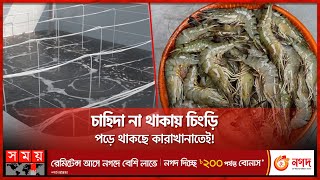 চিংড়ির মান কমে যাওয়ায় ইউরোপের বাজারে চাহিদা কমছে | Shrimp Cultivation | Khulna News | Somoy TV