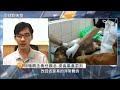 可愛河狸成破壞狂　南美森林被夷為平地｜外來種失控！安樂死是唯一解方？｜快時尚惹禍！智利遭廢衣海嘯淹沒｜全球聊天室 鏡新聞