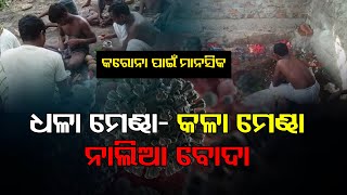 କରୋନା ପାଇଁ ପୂଜା| Odisha Reporter