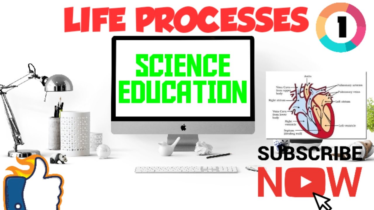 Biology Chapter - 1 (Life Processes) Part- 1 - YouTube