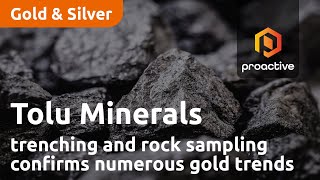 Tolu Minerals recent trenching and rock sampling confirms numerous gold trends at Mt Penck Project