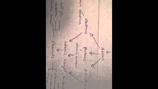 Cell Bio Lab 1 Concept Map