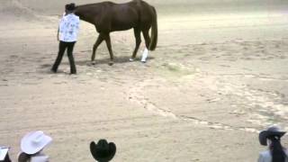 AQHA novice championships showmanship winning run