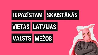 Iepazīstam skaistākās vietas Latvijas valsts mežos