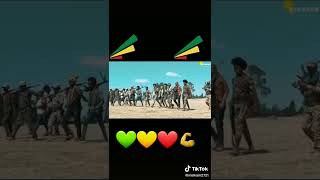 ትንሿ ኢትዮጵያ ጎንደር💚💛❤✌