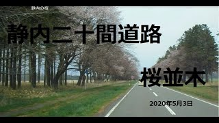 DIY車中泊車NV350で北海道ドライブ＆旅先紹介動画　孤独のドライブ静内二十間道路桜並木