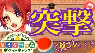 歌い手莉犬くんの家に突撃したらとんでもない事実が。。。【どうぶつの森 ポケットキャンプ】【ころん】