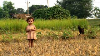 FAO in Nepal - Documentary version part 1/2