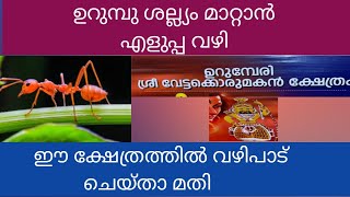 ഉറുമ്പുശല്ല്യം ഉണ്ടോ? ഉണ്ടെങ്കിൽ ഈക്ഷേത്രത്തിൽ വഴിപാടുചെയ്താൽ മാറി കിട്ടും#ഉറുമ്പേരികോട്ടം