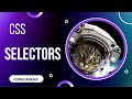CSS Selectors | Day 18 Codecademy