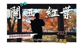 【2023關西紅葉】京都篇-全年高光時刻就在「紅葉狩」，紅葉名所5選：各種排名第一的東福寺果然沒成了一幅畫｜南禪寺｜常寂光寺｜二尊院｜嵐山公園｜4K