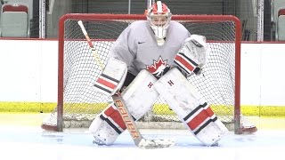 NWT: GOALTENDERS COME TO CAMP