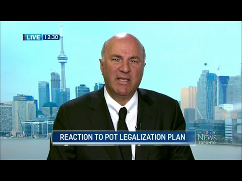 Kevin O'Leary On Marijuana Legalization Kevin O'Leary On Marijuana Legalization
