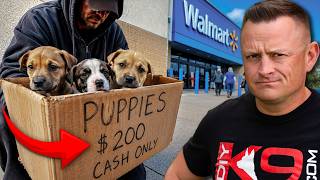 Top 5 Red Flags That Expose a BAD Dog Breeder!