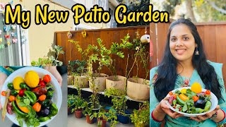 புது வீட்டில் என் காய்கறி தோட்டம்/First Harvest from New Home /Garden Tour#OneDayTrip #Tamil Vlog