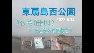 東扇島西公園の釣り part 25 2022.6.14 ぶっ込み釣りに意外な獲物が♪