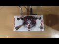 self oscillating delay u0026reverb by mp custom fx for gino