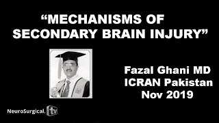 MECHANISMS OF SECONDARY BRAIN INJURY