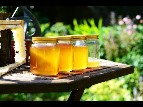 Is eating local honey the cure for allergies? Find out here Is eating local honey the cure for allergies? Find out here