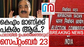 പാലാ മണ്ഡലത്തില്‍ ഉപതെരഞ്ഞെടുപ്പ് പ്രഖ്യാപിച്ചു I election commission