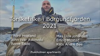 Ålesund - Torsk og skreifiske i Borgundfjorden 2021 -  Norway - Bukkholmen Rorbu Ålesund.