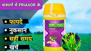 BASF priaxor fungicide || priaxor fungicide