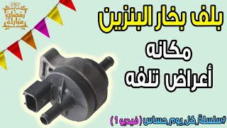 بلف بخار البنزين او  بلف الكانستر  | مكانه و أعراض تلفه (  حلقة رقم 1 )