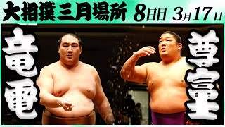 大相撲　竜電ー尊富士＜令和６年三月場所８日目＞SUMO