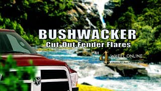 Bushwacker Cut-Out Fender Flares