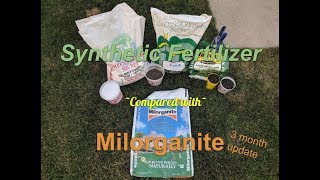 Milorganite vs synthetic fertilizer (2 month update)