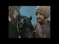 Кабардинская Конь 🐎 ყაბარდოული ბედაური 🐎 circassiens stallion 🦅