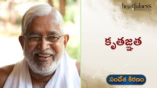 Gratitude | Chariji | Heartfulness Telugu