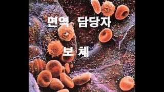 [한의학이야기 42강] 우리 신체에 면역을 담당하는 보체. 면역에 관련된 보체와 세포의 관계에 관한 이야기입니다.