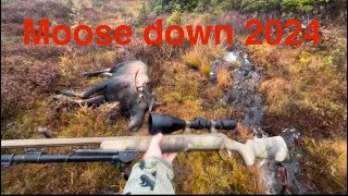 Newfoundland Moose hunting in the off grid cabin￼