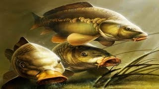 ВЫЛАВЛИВАЕМ ВСЕ ТРОФЕИ#63 - Русская Рыбалка 4.Russian Fishing 4.