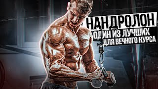 Нандролон (Дека, Ретаболил) - эффекты, побочки, дозировки, курс