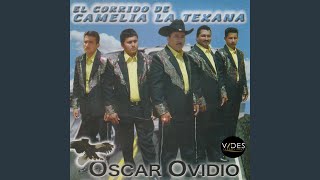 El Corrido de Camelia la Texana