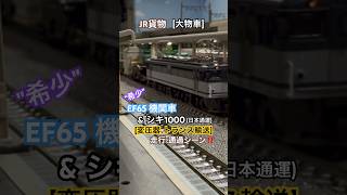 [大物車 貨物‼︎] JR貨物 希少編成シキ1000(大物車)変圧器輸送の通過シーンを再現‼︎ #nゲージ #jr貨物 #ef65 #貨物列車 #通過シーン #貨物 #鉄道模型 #ngauge #通過