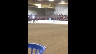 Steve Rother's All Breeds Demonstration at the 2014 Horse3