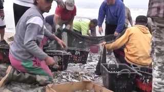 Espinho Portugal: Fishing for a living, pescadores e ospeixeiros de Espinho