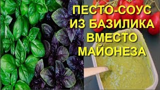 Что будет если есть базилик каждый день поможет справится со многими недугами