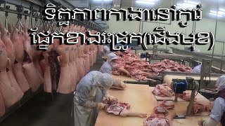 Ep:38 ទិត្ឋភាពកាងានៅកូរ៉េផ្នែកខាងវះជ្រូក(ជេីងមុខ)។ cut pig.