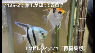 ＃125-2：誰もが知ってる魚？　エンゼルフィッシュ（再編集版）