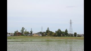 小さな窓の花ごよみ 1394 五月のスナップ  ♪ 夢見る人～埴生の宿 ♪