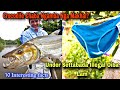 Underwear Settana Chatpada Illigal Oiba Lam||Mit ki Megapixel kayano? World Facts Story