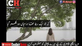 Love Sad Ghazal / Latest Poetry Collection / Best poetry Collection