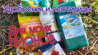 Удобрения и пестициды для моих пионов. То, что я применяю.